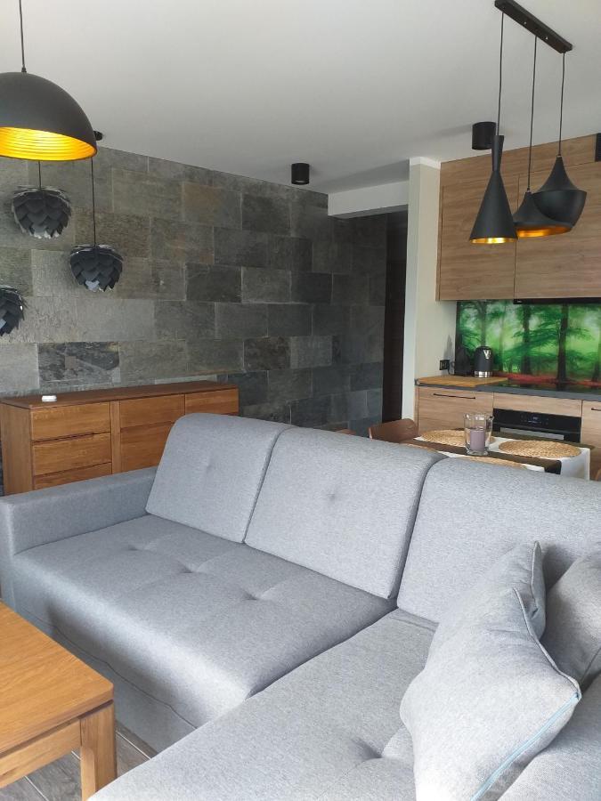 Apartament Szklarska Perełka Szklarska Poręba